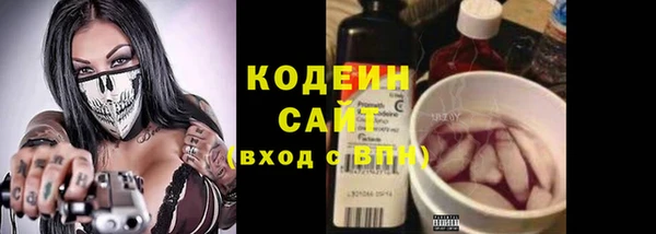 прущие грибы Алексеевка