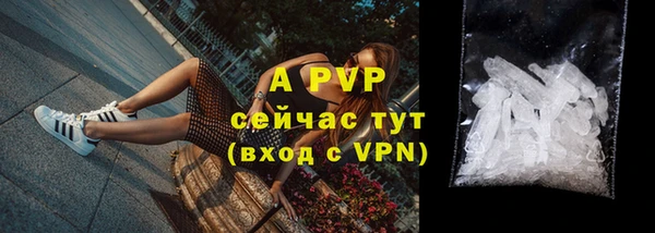 соль ск Алексин