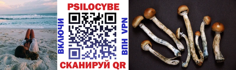 hydra зеркало  Поронайск  Галлюциногенные грибы Psilocybe 